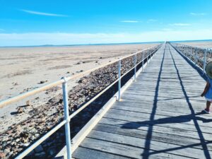 Road trip to Adelaide 04